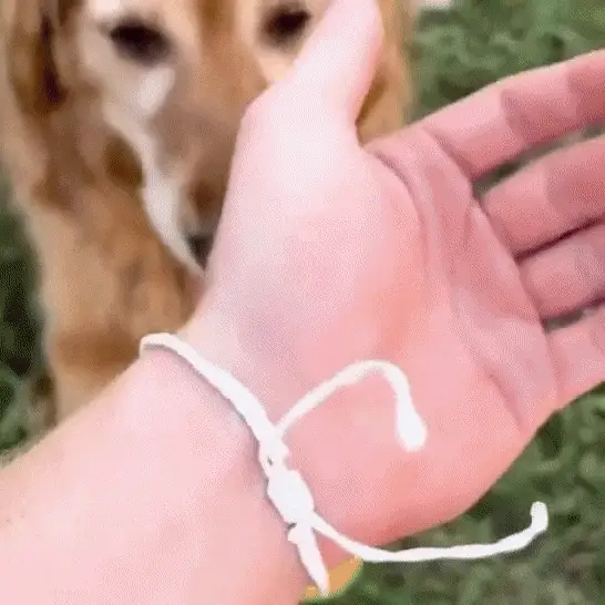 Forever Memory Bracelet™︎ - Image 3